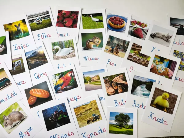 Ruchomy Alfabet Montessori Premium – Zmywalny Zestaw z Kartami Pracy 2026