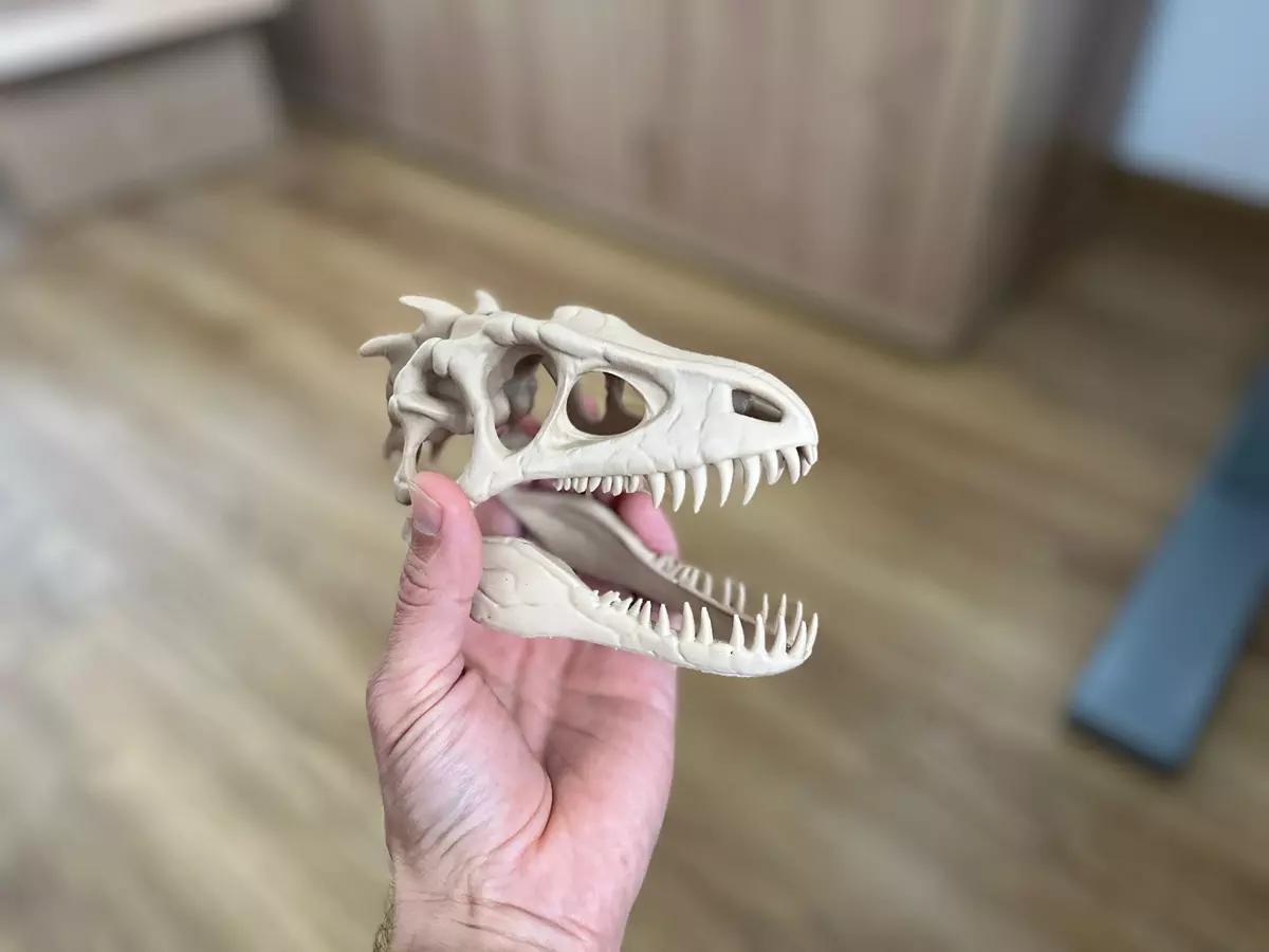 czaszka dinozaura trex wydrukowana na drukarce 3d